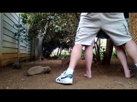 voyeur garden