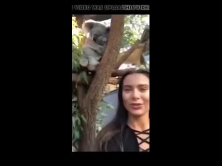 zoo