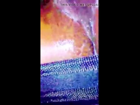 toiletter la chatte avec la langue