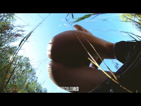 hd bush close up