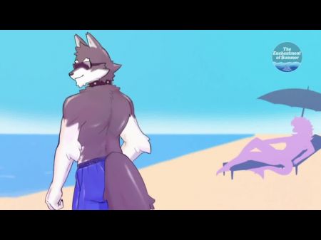 sharked
