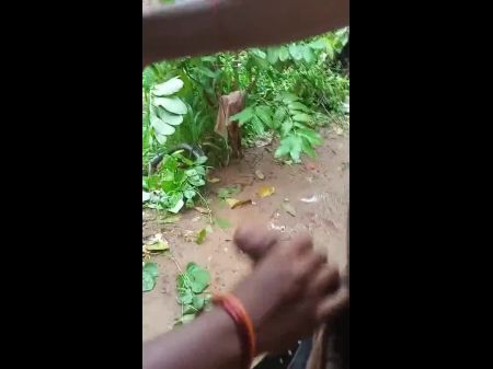desi forest